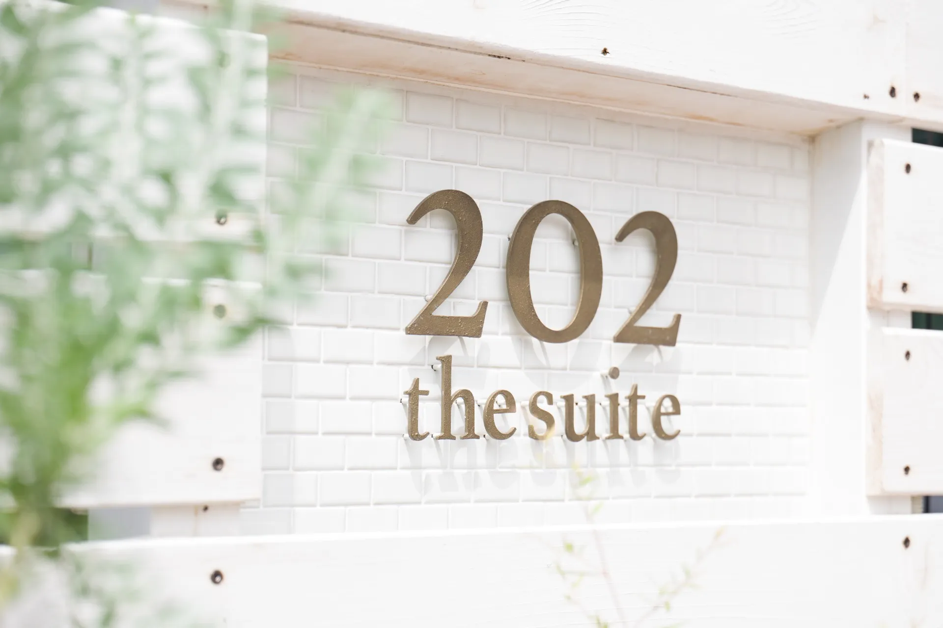 the suite 202