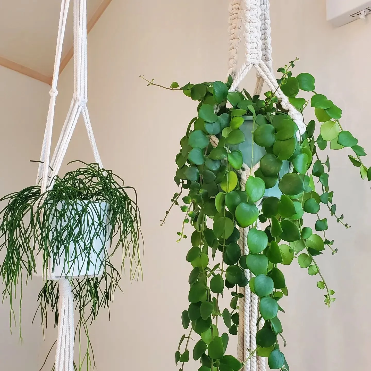 サロンの雰囲気